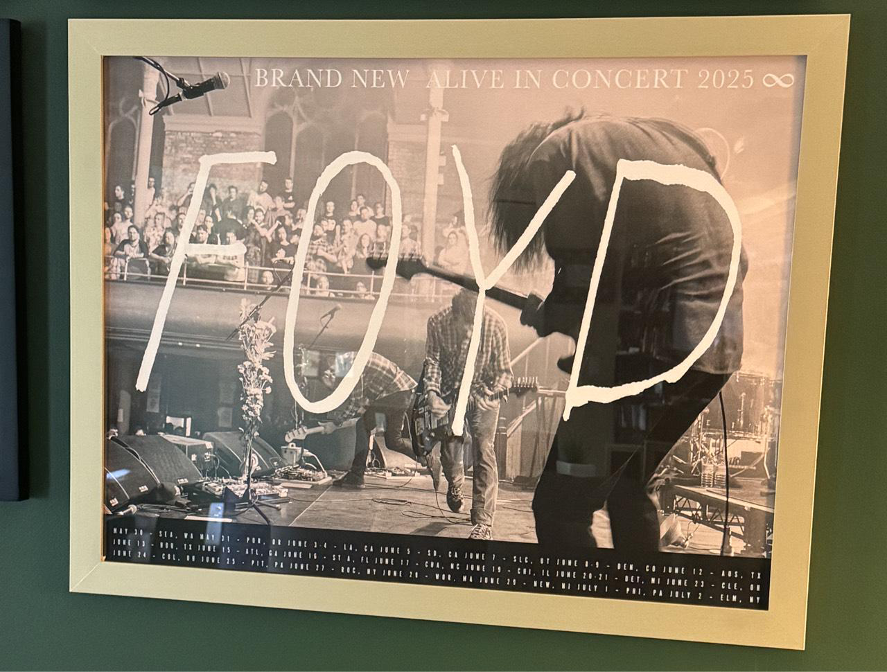 FOYD Alive in Concert 2025 Poster Light Pink